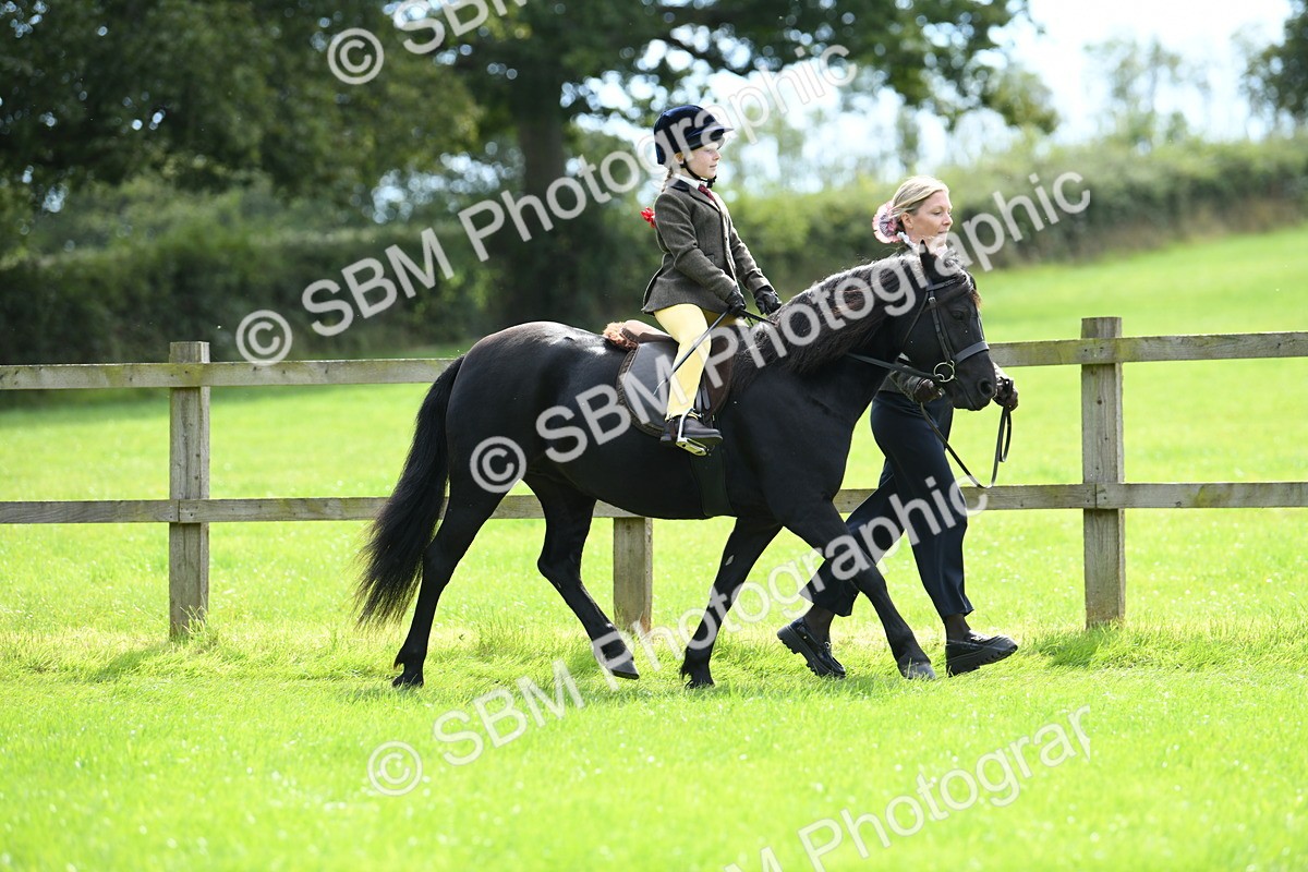 SBM_42541 - S20 - Lead Rein Mountain & Moorland Pony