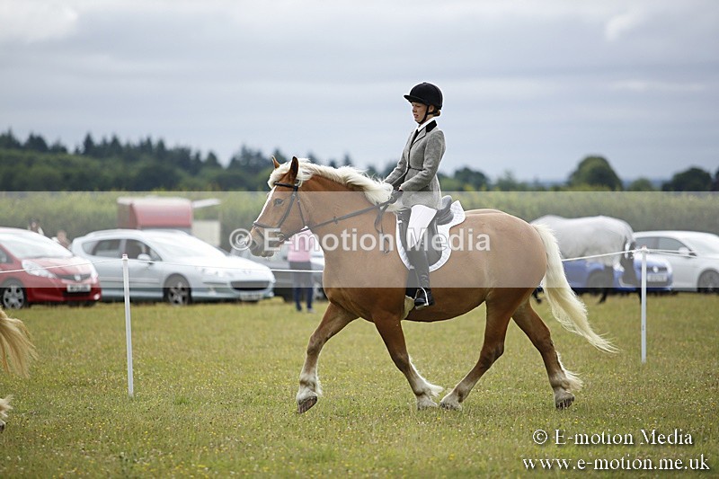 BVR160717-277 - Ring 1 BVRC Show 16/07/17