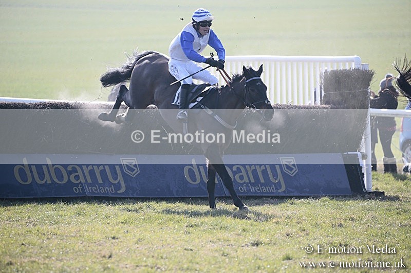 PtP 240218 49 - Vine & Craven Hunt Point-to-Point Barbury racecourse 24/02/18
