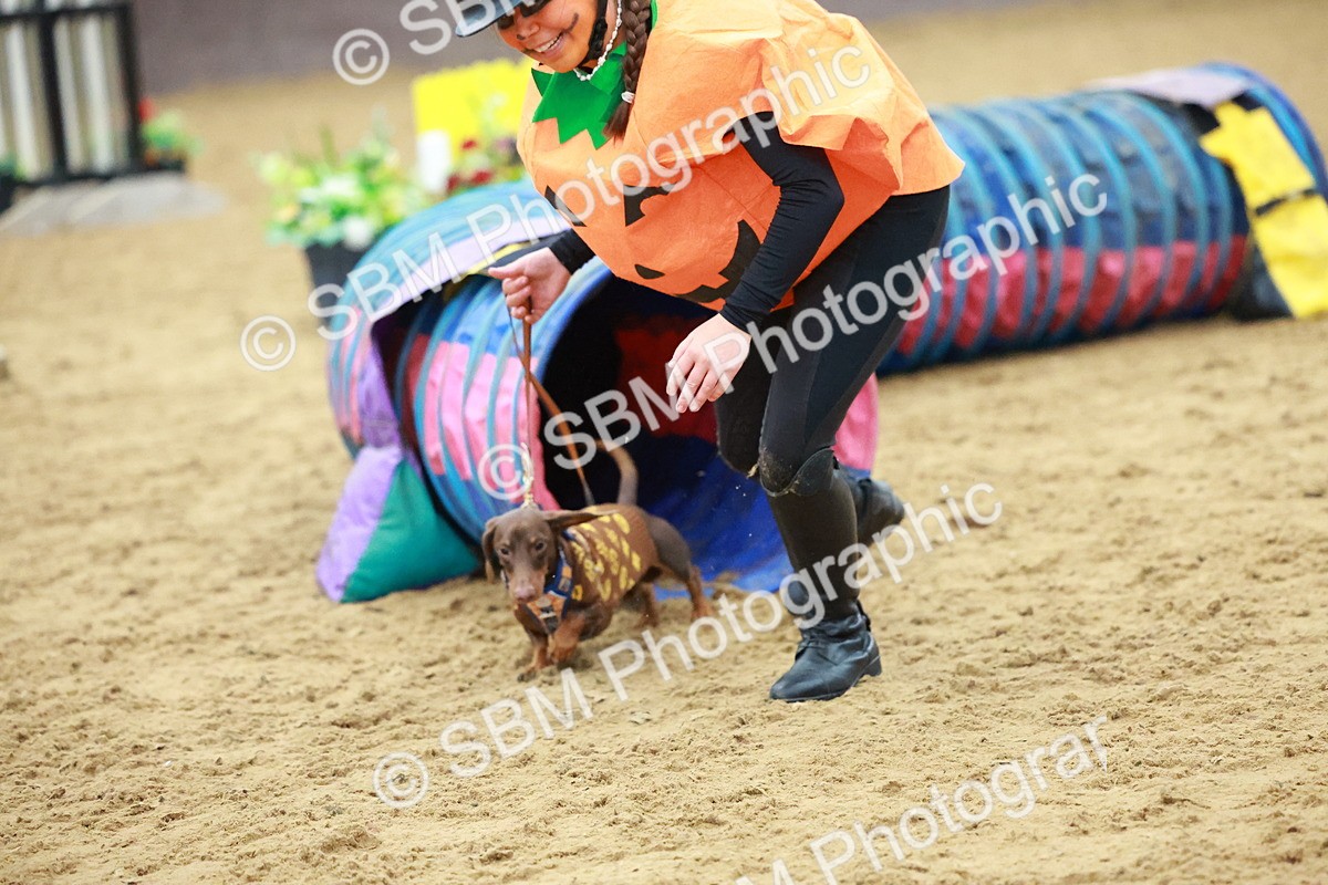 SBM_002212 - Class 3 - Horse & Hound (60cm)