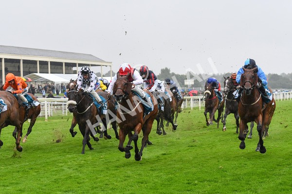 140723-Race 6-Copper Knight-0612 - Race 6 4.55pm Irish Thoroughbred Marketing Handicap