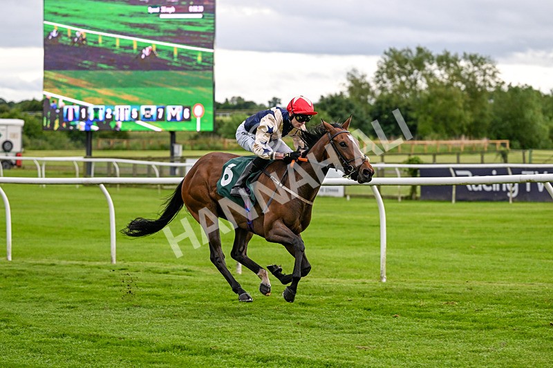110626-Race 3-Powernap-4598 - Race 3 19.22pm racingtv.com/freetrial Handicap