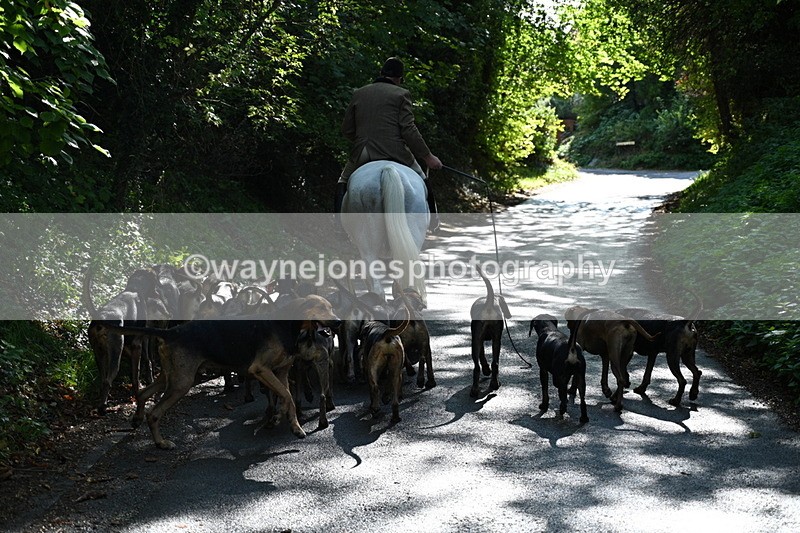 WJ7_6030 - Hounds Water Crossing