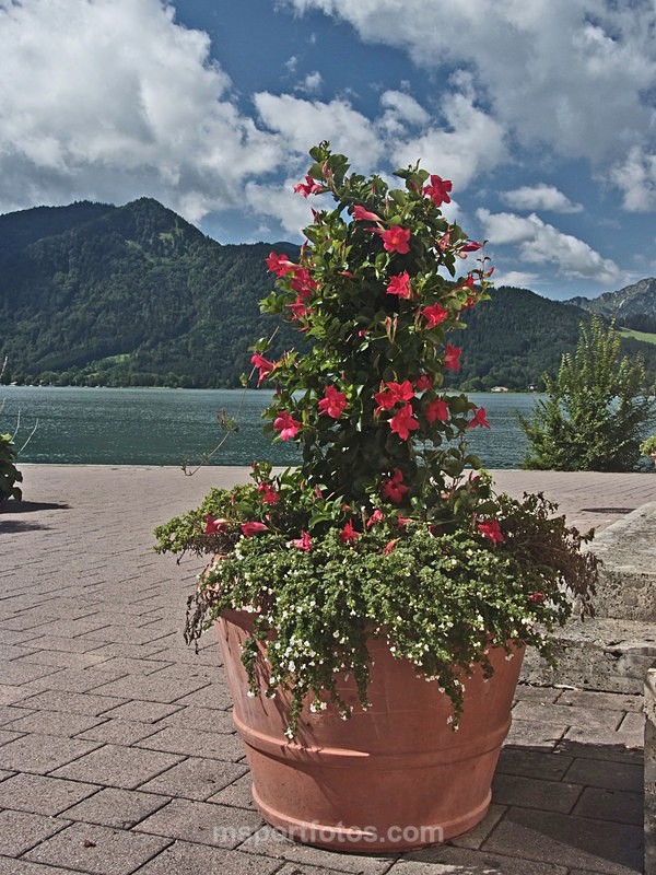 Tegernsee 2 - Travel, city/land scapes