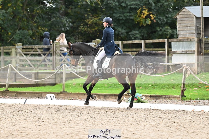 251023A-104618-01537 - B-131-Gemma.Gurvidi