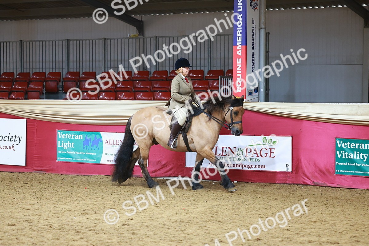 SBM_09401 - Class 102 - HOYS Veteran Qualifier - Ridden Veteran