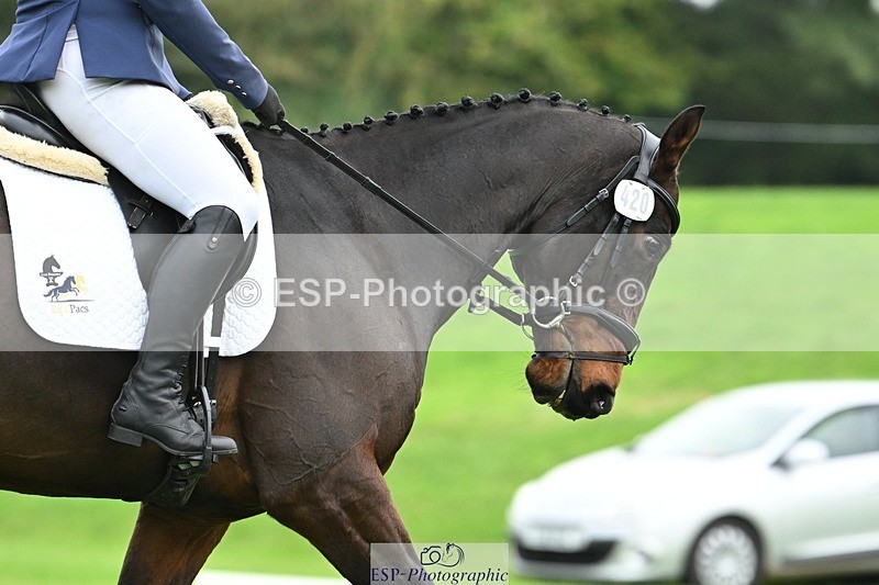 241024-144703-04603 - 420-Pip.Howarth-OTTAVA