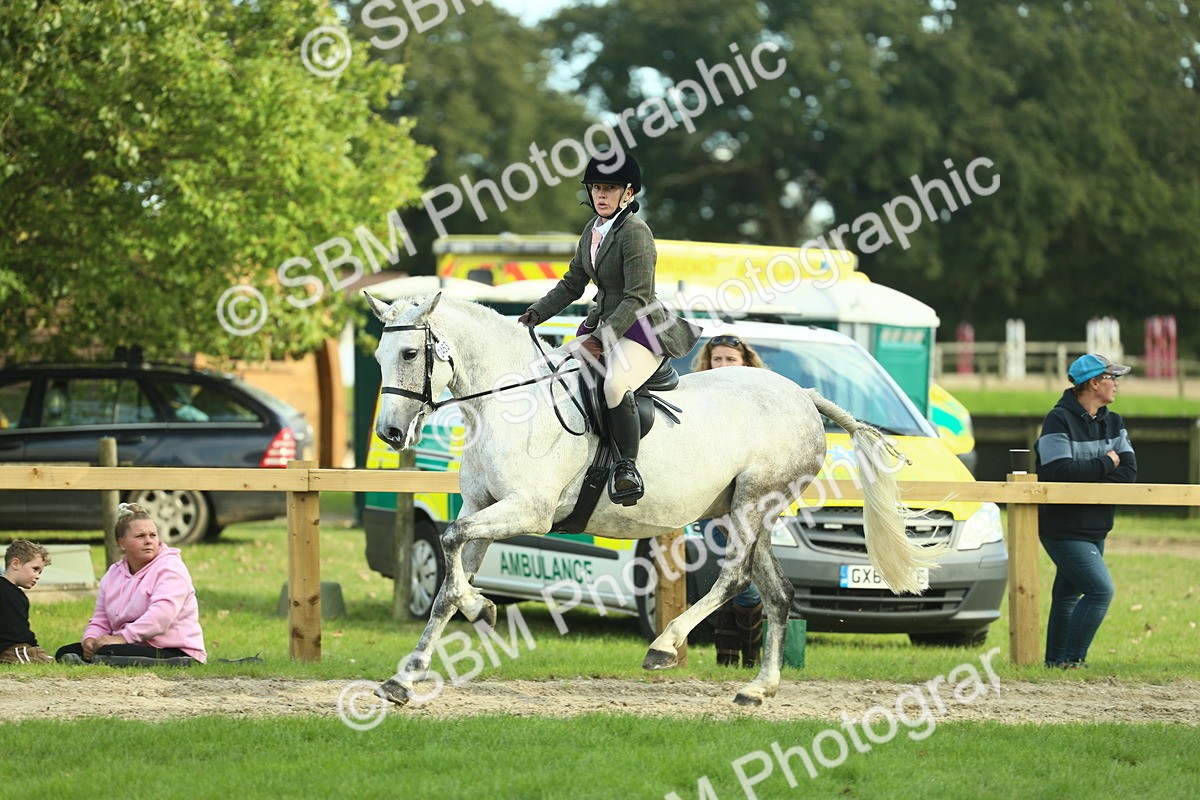 SBM_50708 - S33 - Working Hunter & Working Show Horse