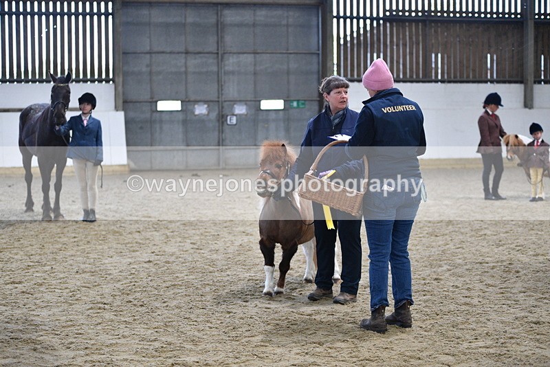 WJ5_5149 - Class 7 In hand coloured / odd coloured