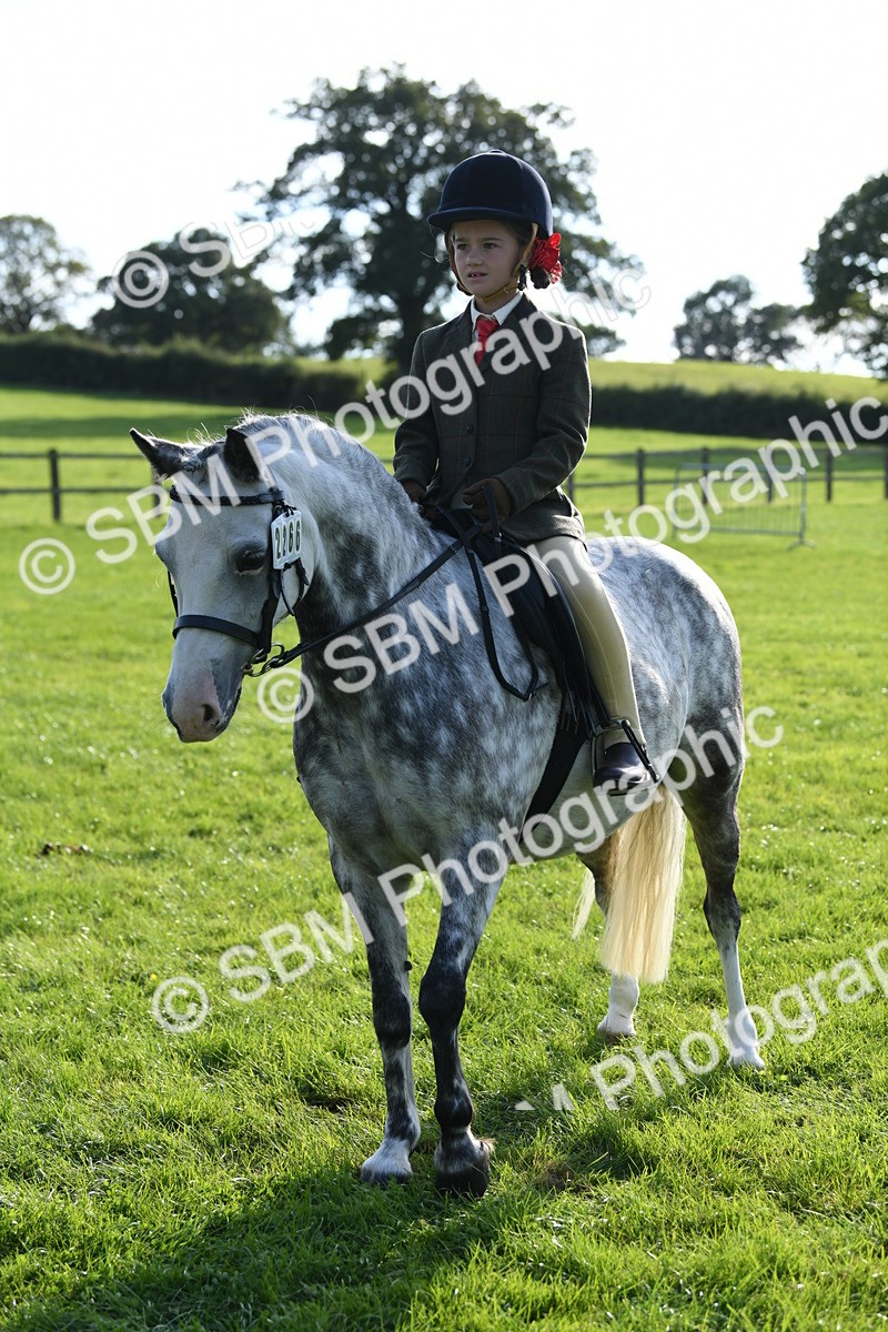 SBM_52396 - S22 - 1st Ridden Show & Show Hunter Pony