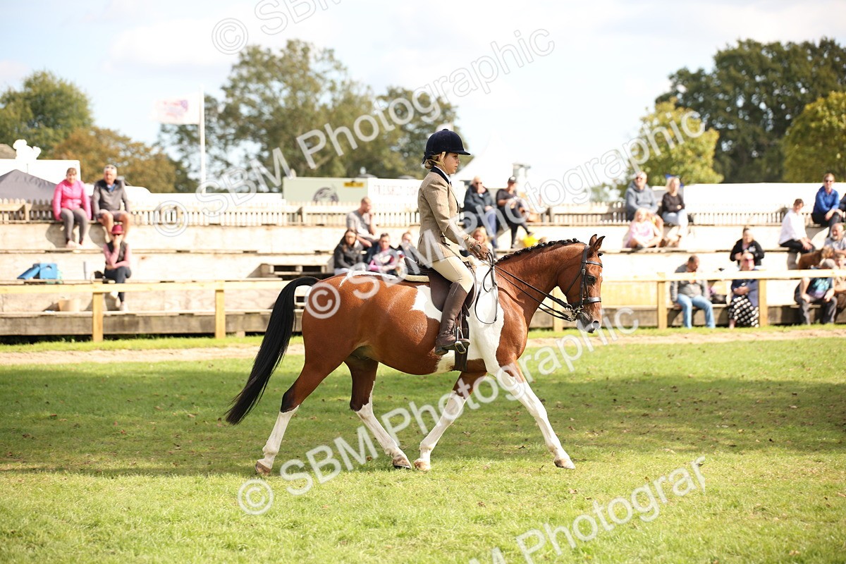 SBM_50037 - S26 - Young Veteran - Ridden