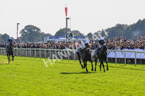 111025-Race 3-Laazm-0324 - Race 3 Coral 'Daily Reward Shaker' For Free Nursery Handicap at York