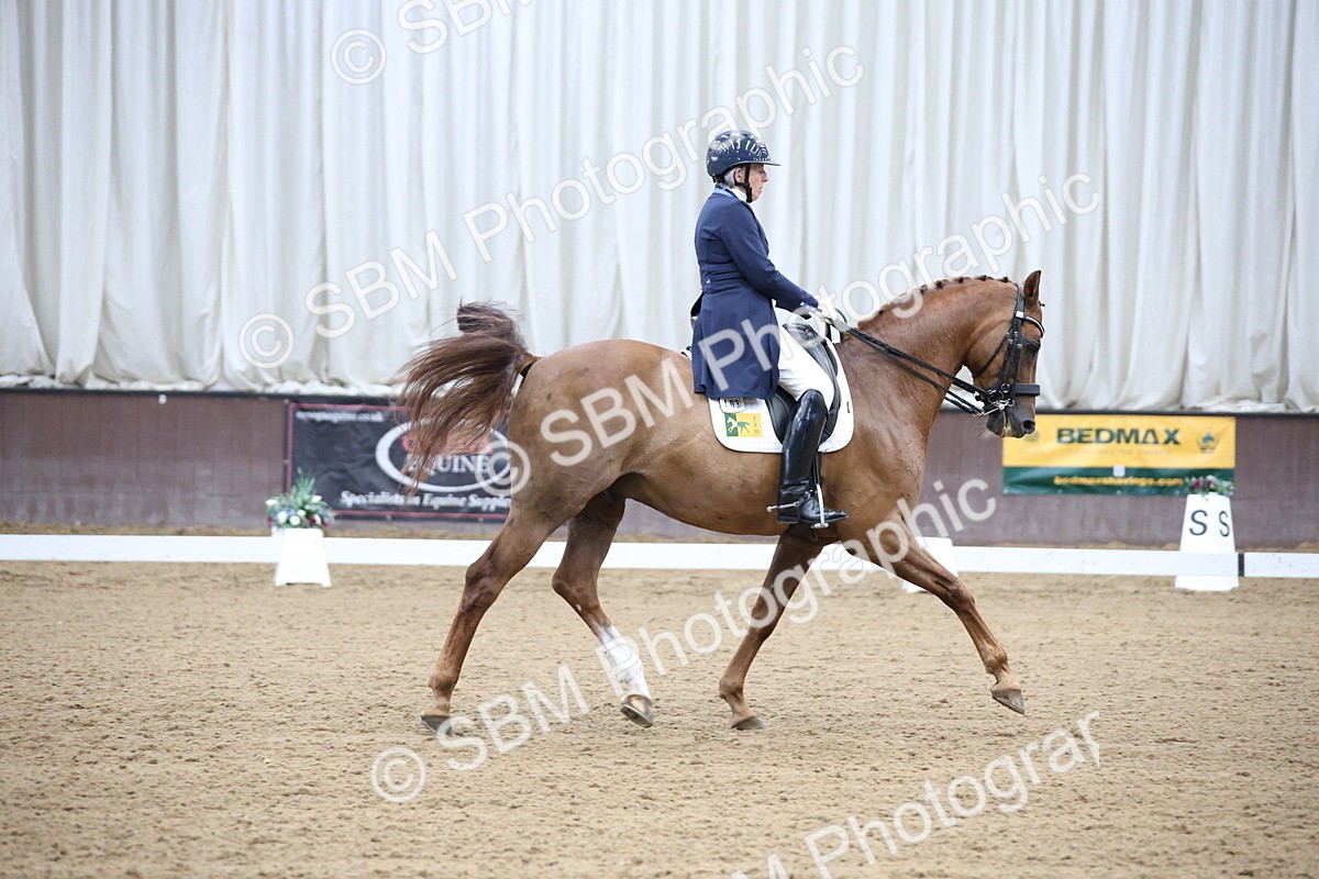 SBM_004735 - Class 9 - FEI Inter 1 Gold - 16.59-17.47