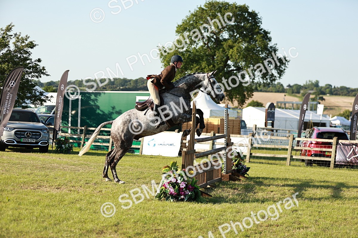 SBM_20350 - Class 117-119 - Sport Horse Working Hunter