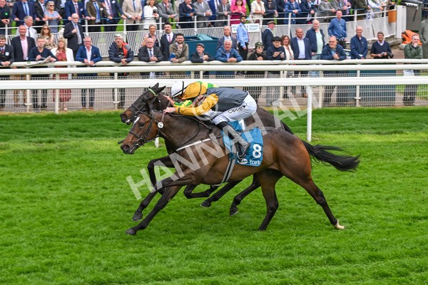 150524-Race 6-Shadow Army-4593 - Race 6 4.45pm British Stallion Studs EBF Novice Stakes