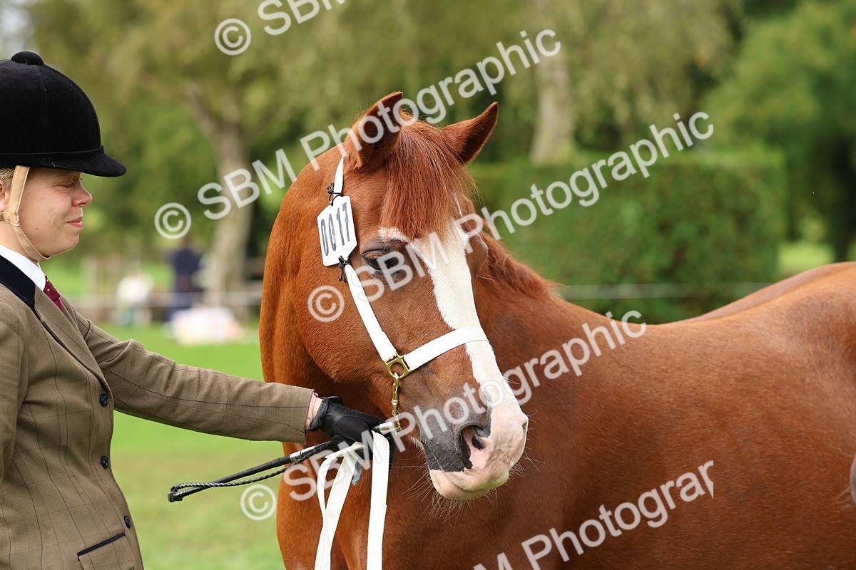 SBM_39366 - S24 - Young Veteran In Hand