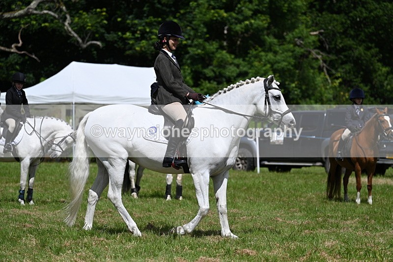 WJ7_1804 - Class 9 Pony Club Pony