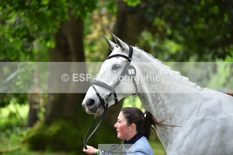 240522-165134-01206 - 225-SLEEHAUN_DANCER-Megan_Lawrence