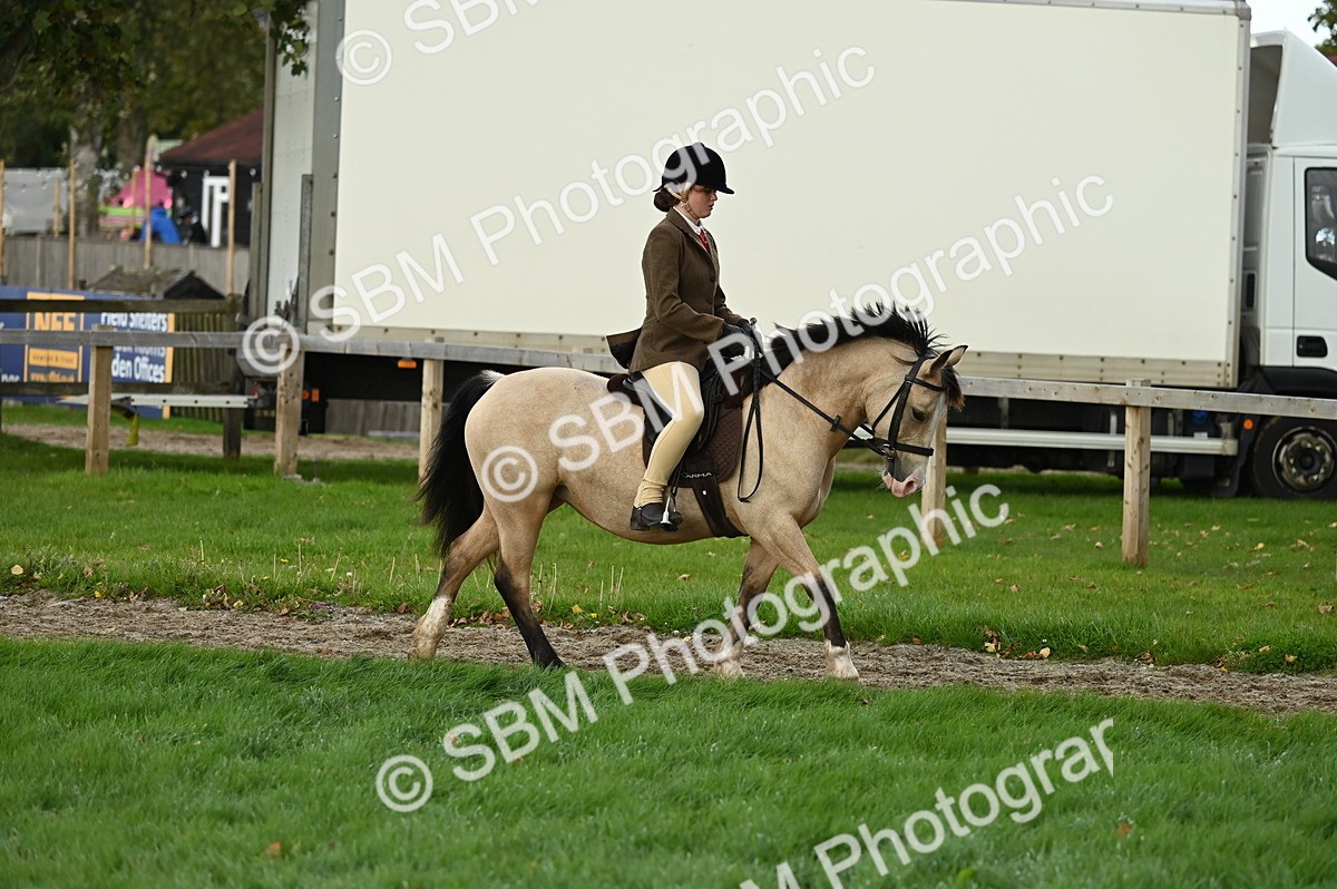 SBM_26569 - S7 - Novice & Newcomer Ridden Pony