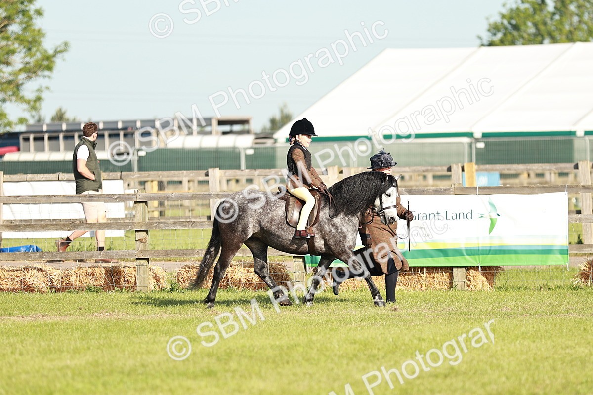 SBM_11058 - Class 106-107 - BSPS LIHS Working Sports Pony