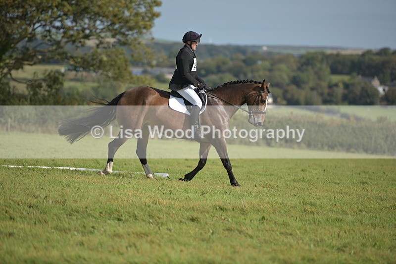 RAY_8066 - Class 2B: Trekenning Open: Dressage