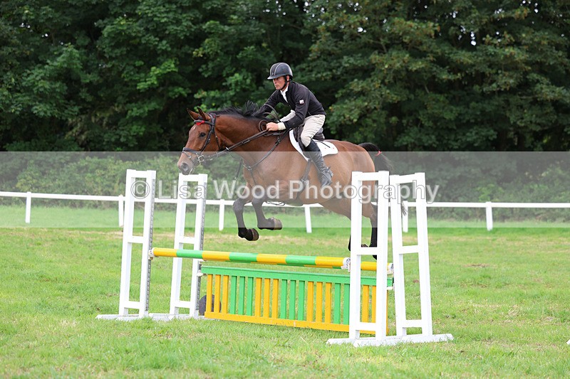 3E7A7202 - Class 5: Senior British Novice/90cm open