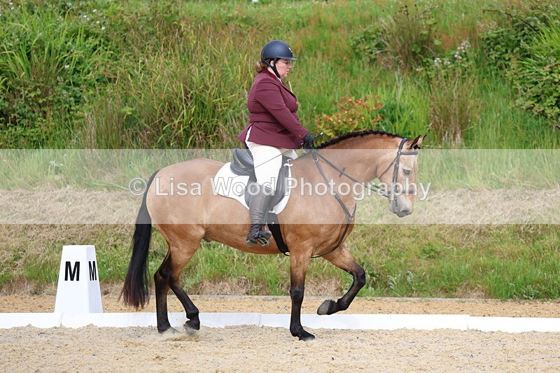 3E7A1478 - Class 2: Intro 2 2024 Section B