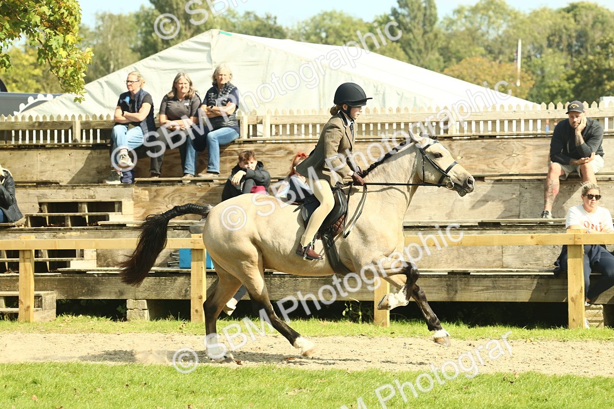 SBM_67639 - S56 - Coloured Pony Ridden