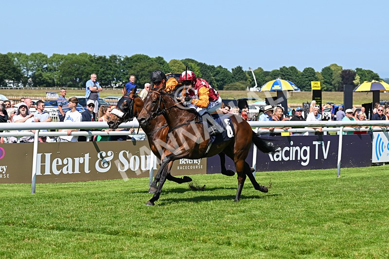 250624-Race 4-Lincoln Rockstar-5642 - Race 4