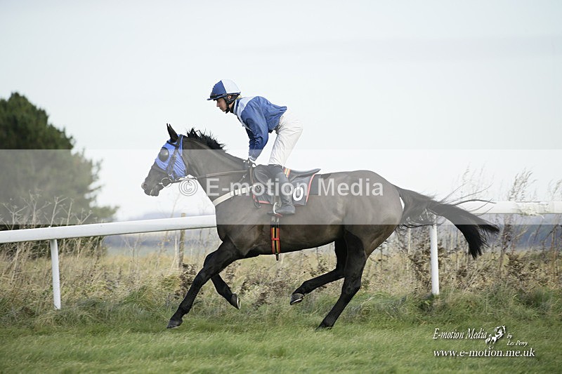 PtP 281121 0187 - Hursley Hambledon Point-to-Point Larkhill 28/11/21