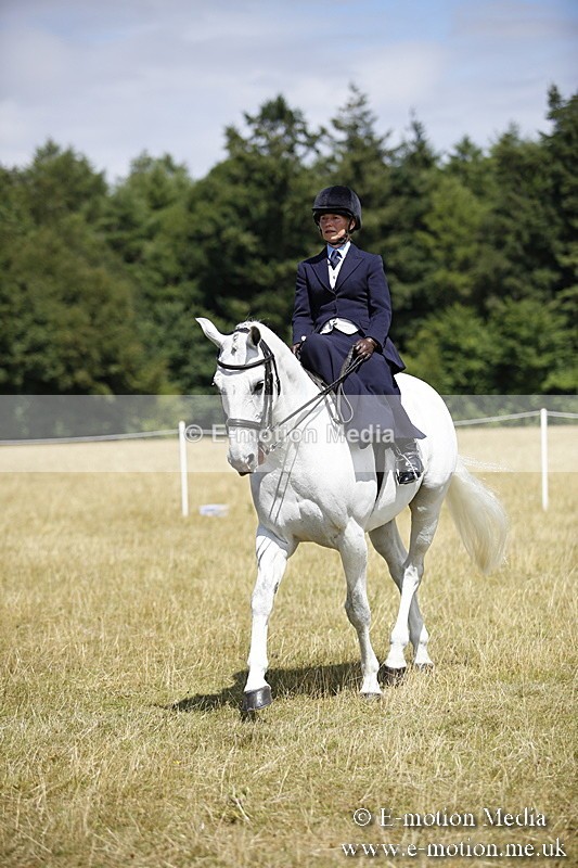 _C7A0231 - Side Saddle Classes BVRC Show 2018