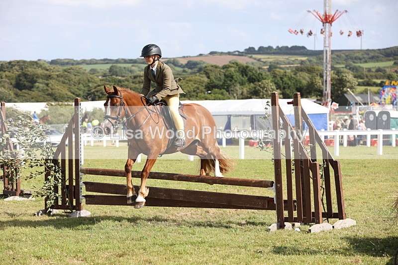 JPP_2764 - Class 20: Working Hunter 70cm