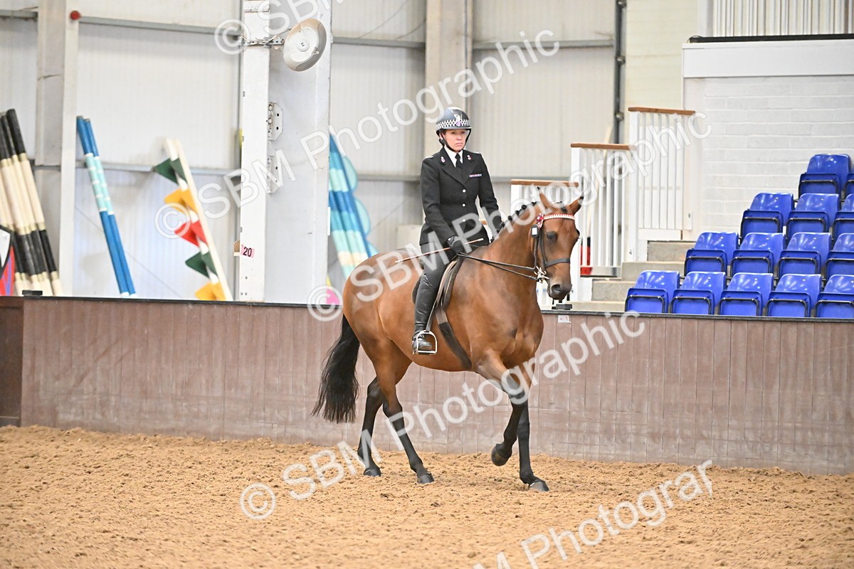 SBM_002371 - Class 22 - BSHA Ridden Hack & Riding Horse