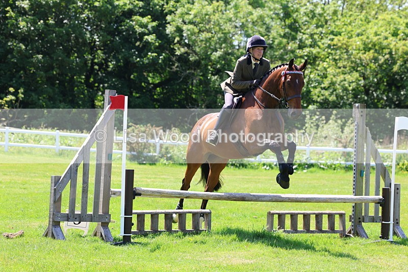 3E7A7451 - Class 31: Working Hunter Cob/Riding Horse
