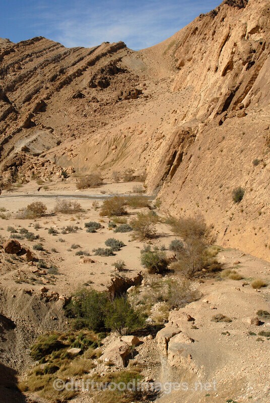 Metlaoui Saharan Atlas mountains and wadi - Tunisia