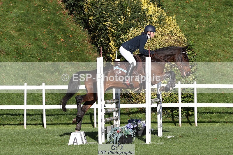 231022-094412-24080 - 670-SEEK.INDI-Maia.Ramasamy-TrotUp+SJ