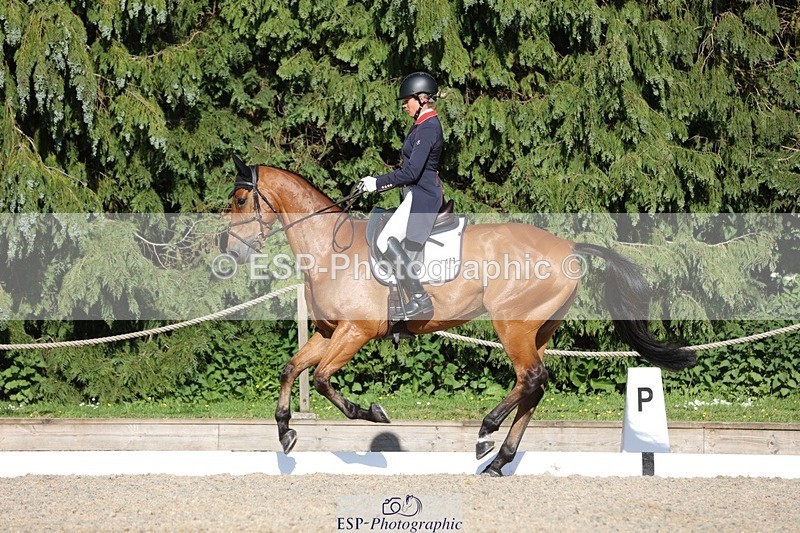 230526-175345-08058 - 182-HARTHILL_FLAMENCO-Izzy_Taylor-WEDTrotUp+DR