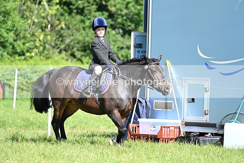 WJ7_0604 - Class 8 First Rally Pony