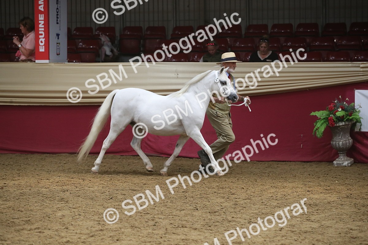 SBM_05532 - Class 9R - Regional IH Pre-Vet