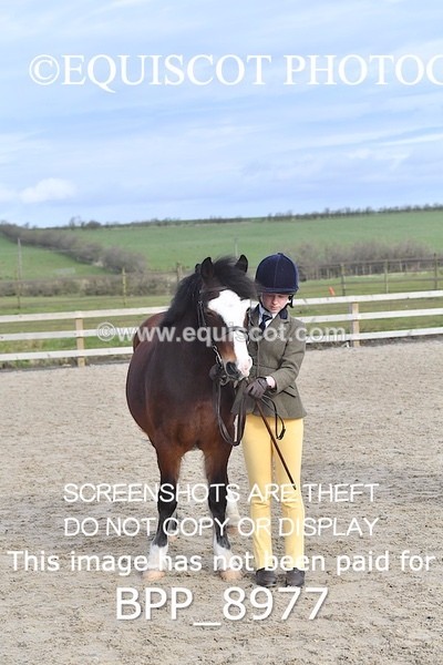 BPP_8977 - RING 2 - M&M