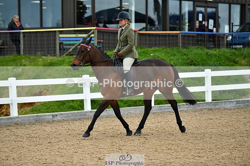 230416A-135129-04959 - Cls 60 Ridden Show Horse