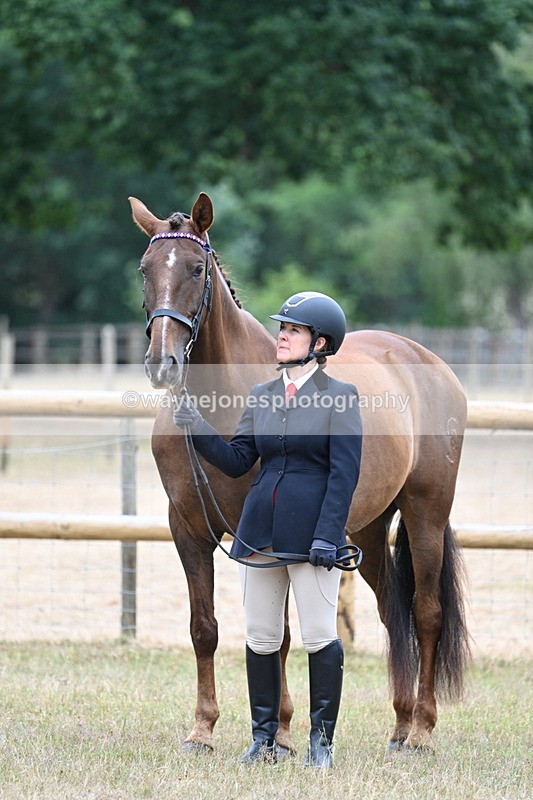 WJ7_9833 - Class 5a Most Handsome Gelding (above 14.2hh)