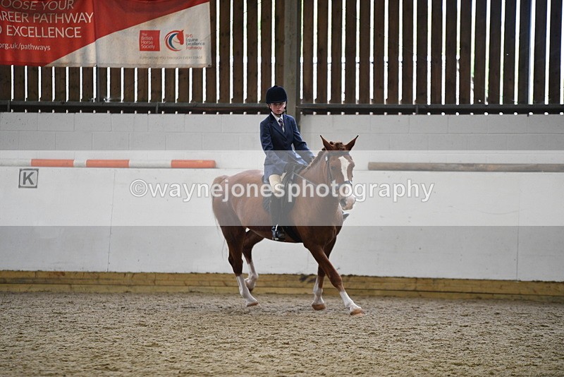 WJ5_7795 - Class 13 Ridden Part Breed