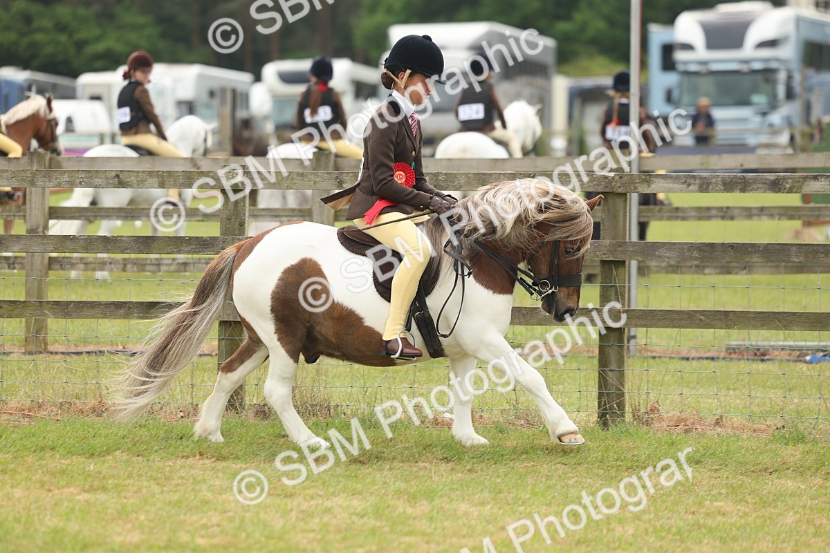 SBM_08907 - Class 78-80 - Ridden M&M Non Welsh Ponies