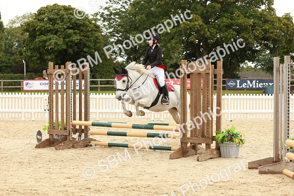 SBM_62022 - J12 - Junior Pony 55cm Championship