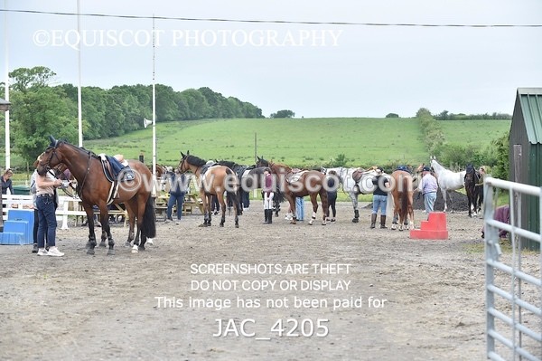 JAC_4205 - CLASS 6 Senior Foxhunter/ 1.20m Open