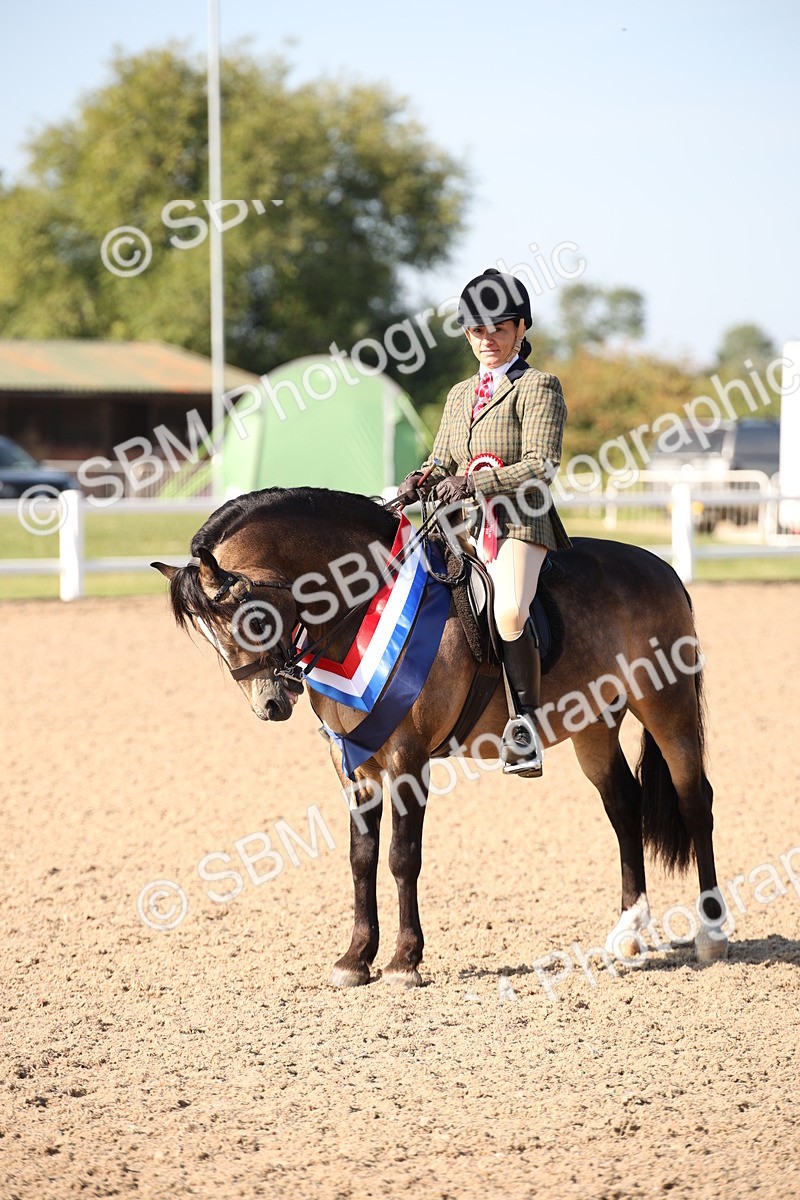 SBM_00779 - Class 14 Ridden M&M Wildcard