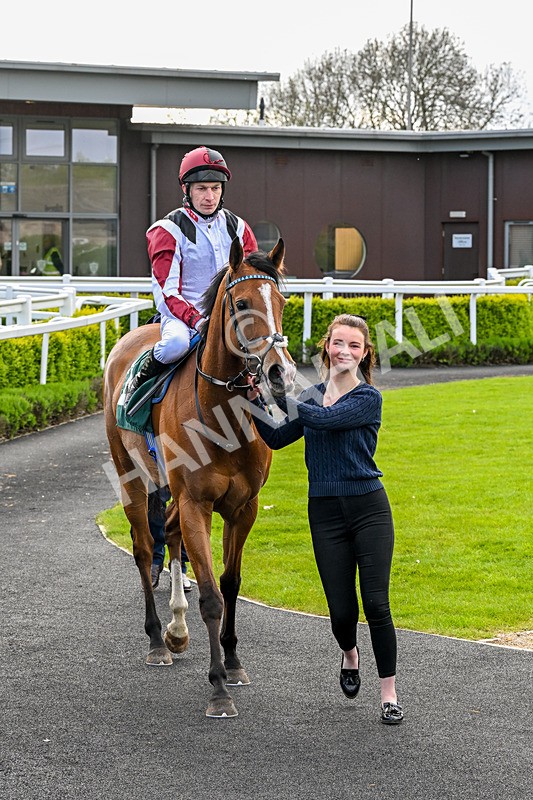 110526-Race 6-Betties Bay-1282 - Race 6 5.00pm Racing Again 21st May Fillies' Handicap