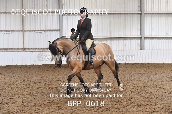 BPP_0618 - RING 2