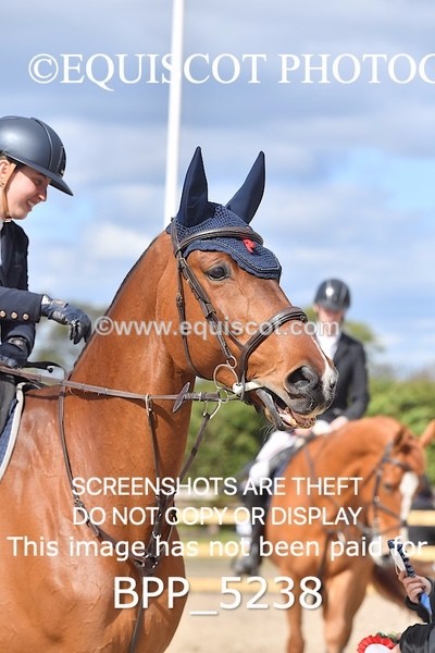 BPP_5238 - CLASS 19 SAT Senior Newcomers/ 1.10m Open